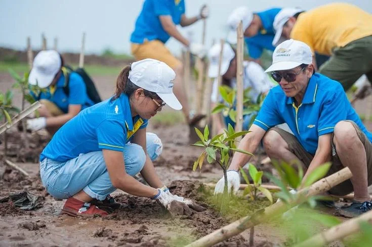 Tình nguyện viên trồng cây non trong hoạt động bảo vệ môi trường
