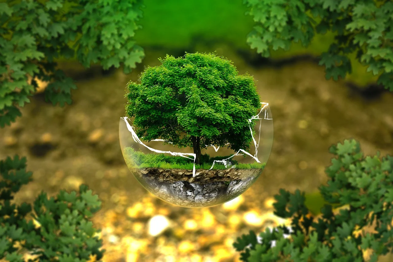 60000+ Bảo Vệ Môi Trường & ảnh Môi Trường miễn phí - Pixabay