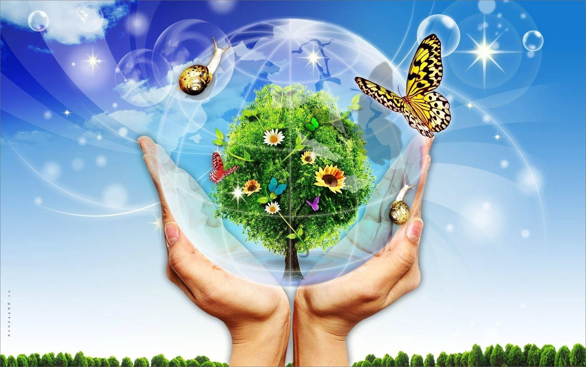 Đôi tay bảo vệ quả cầu hệ sinh thái xanh giữa bầu trời