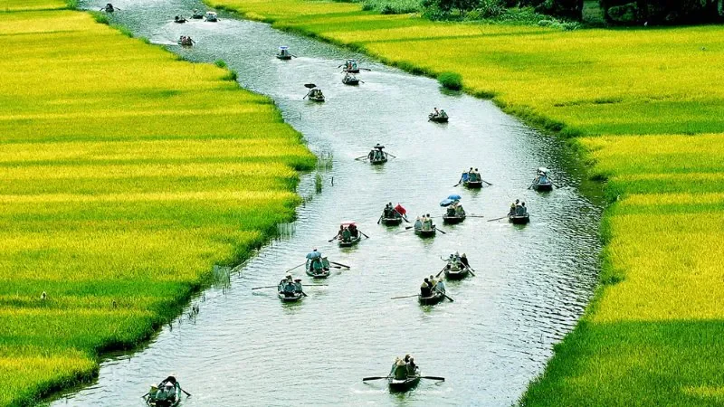 Hình ảnh làng quê yên bình trên con đò lênh đênh - hình 3
