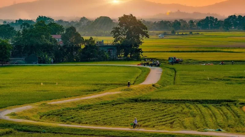Hình ảnh bình yên góc đường làng - hình 5