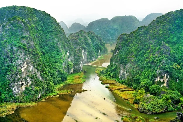 tranh vẽ 20 11 - mẫu 2