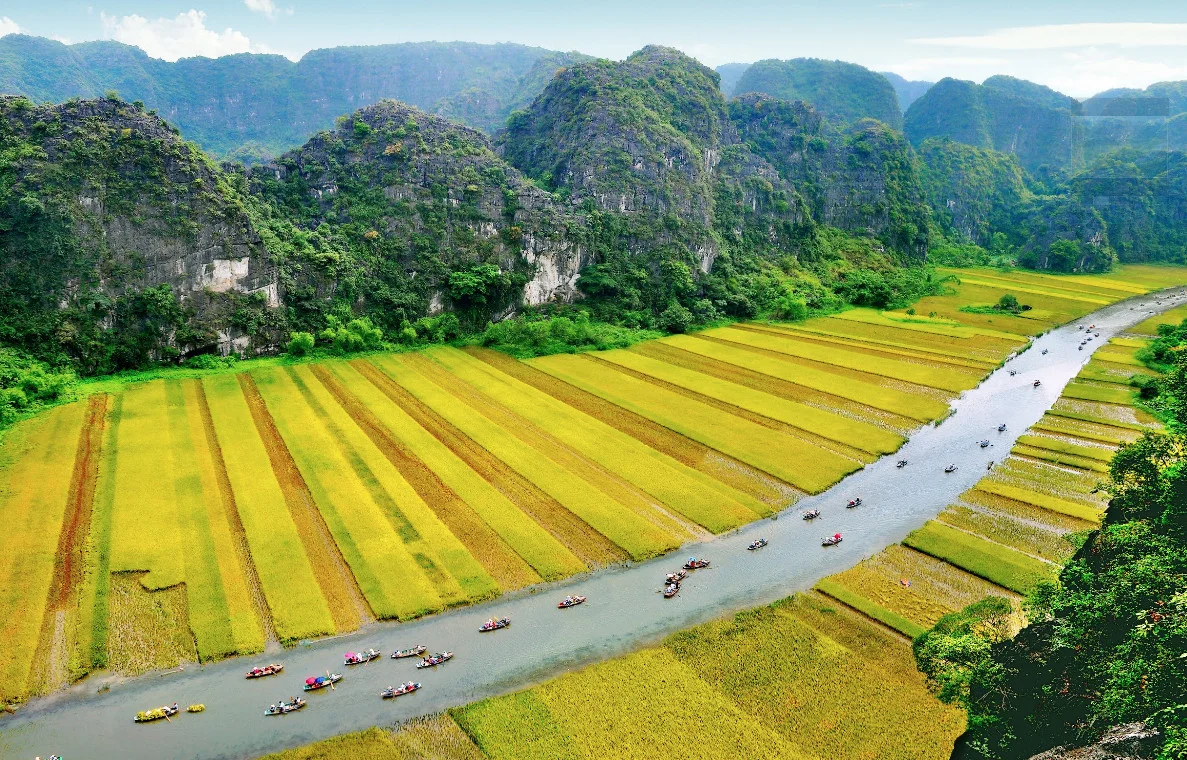 Ảnh 2 minh hoạ tranh vẽ 20 11