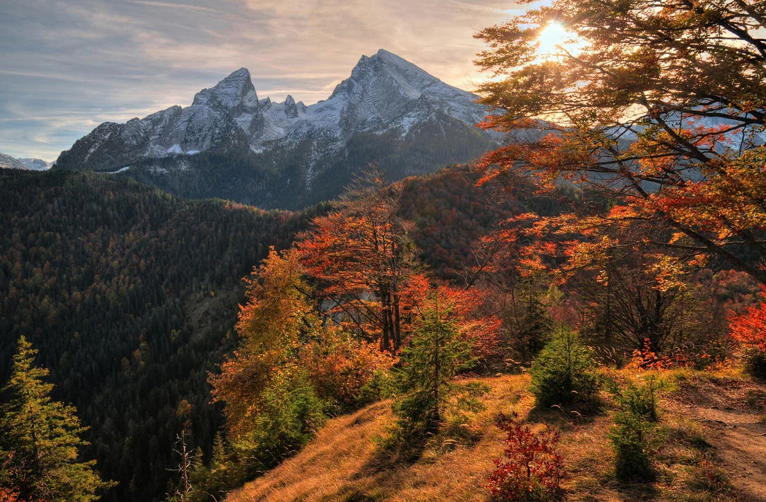 Hình ảnh đẹp của dãy núi Alps mùa thu với rừng cây lá vàng và đỉnh núi tuyết