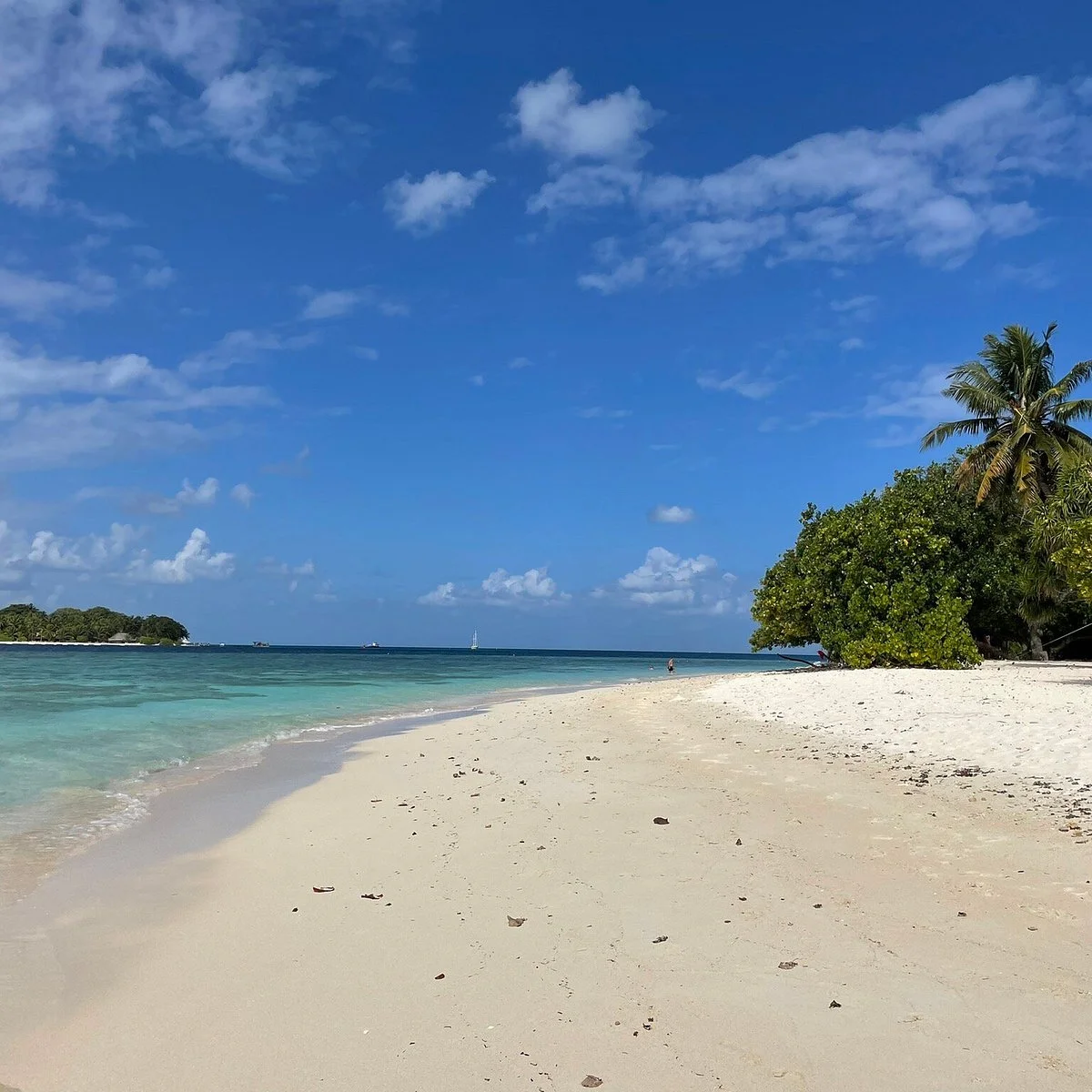 Bikini Beach (Rasdhoo, Maldives) - Đánh giá - Tripadvisor