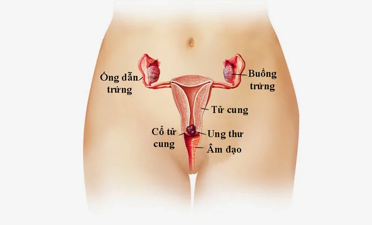 lồn chảy tinh — ảnh 44