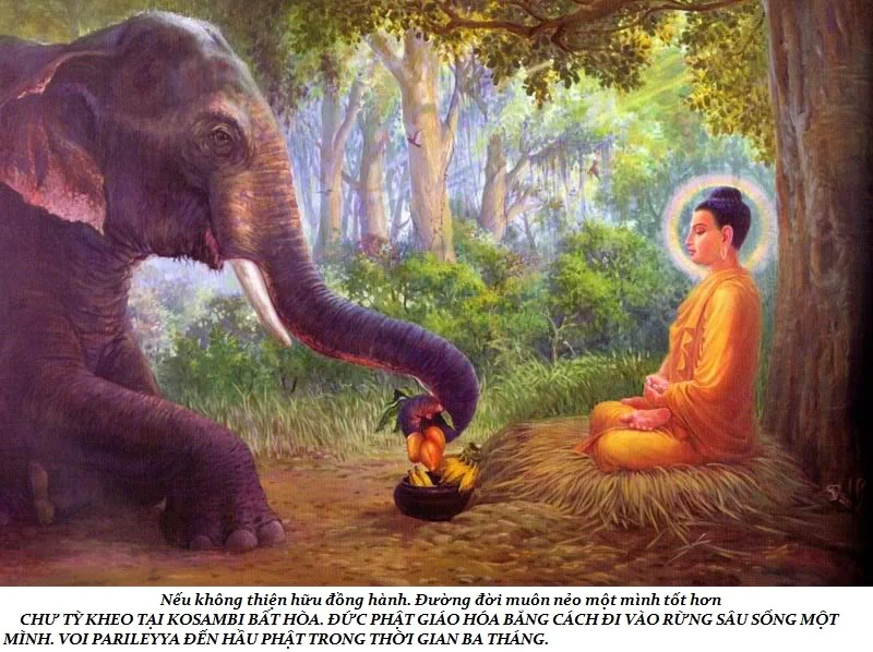Cuộc đời Đức Phật (3)