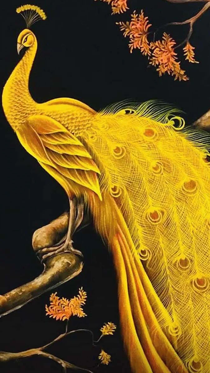 Chim công vàng phong thủy hình nền mệnh Thổ