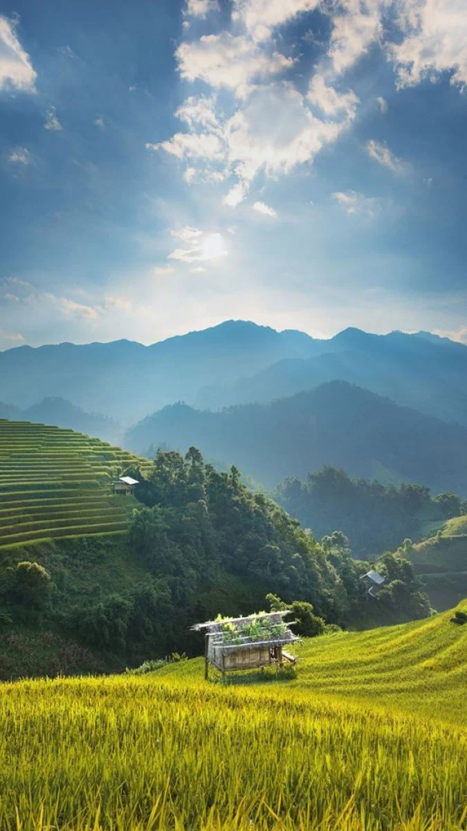 Hình nền phong thủy mệnh Thổ về gia đình (7)