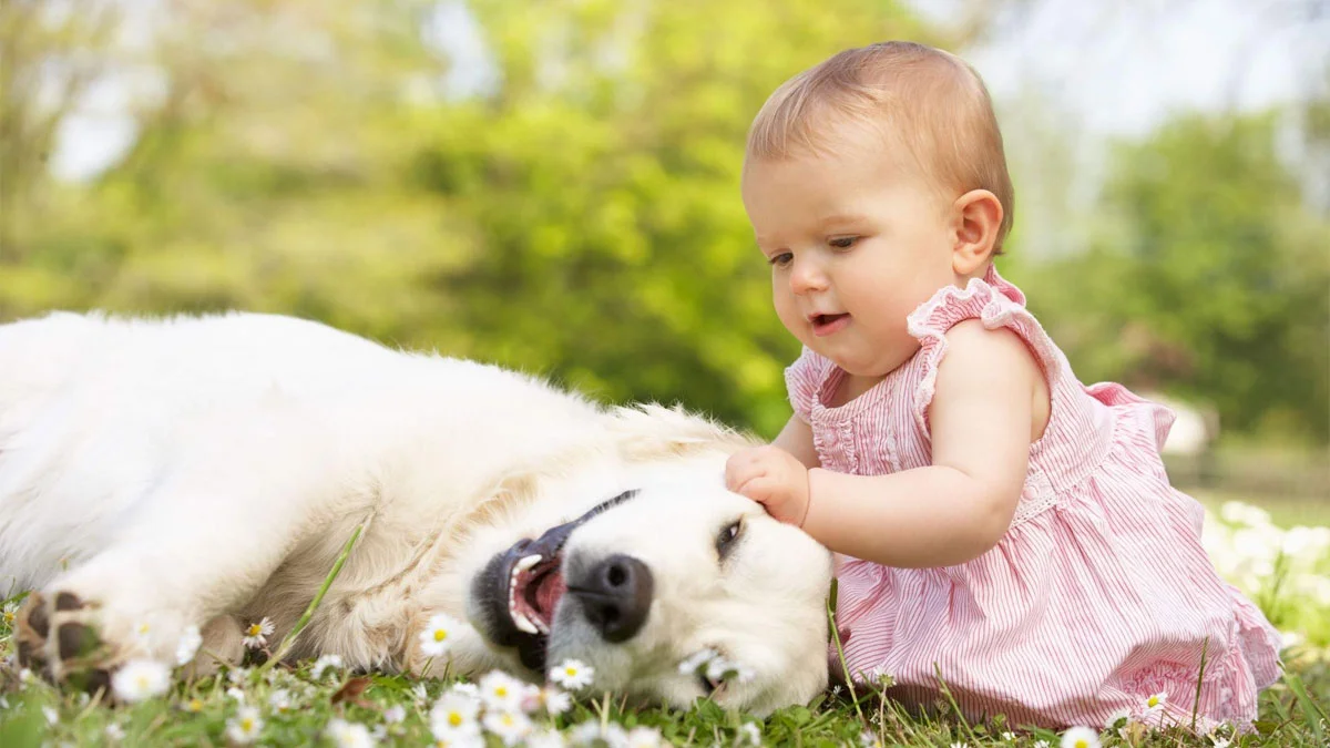 mẫu Ảnh em bé gái cười tươi