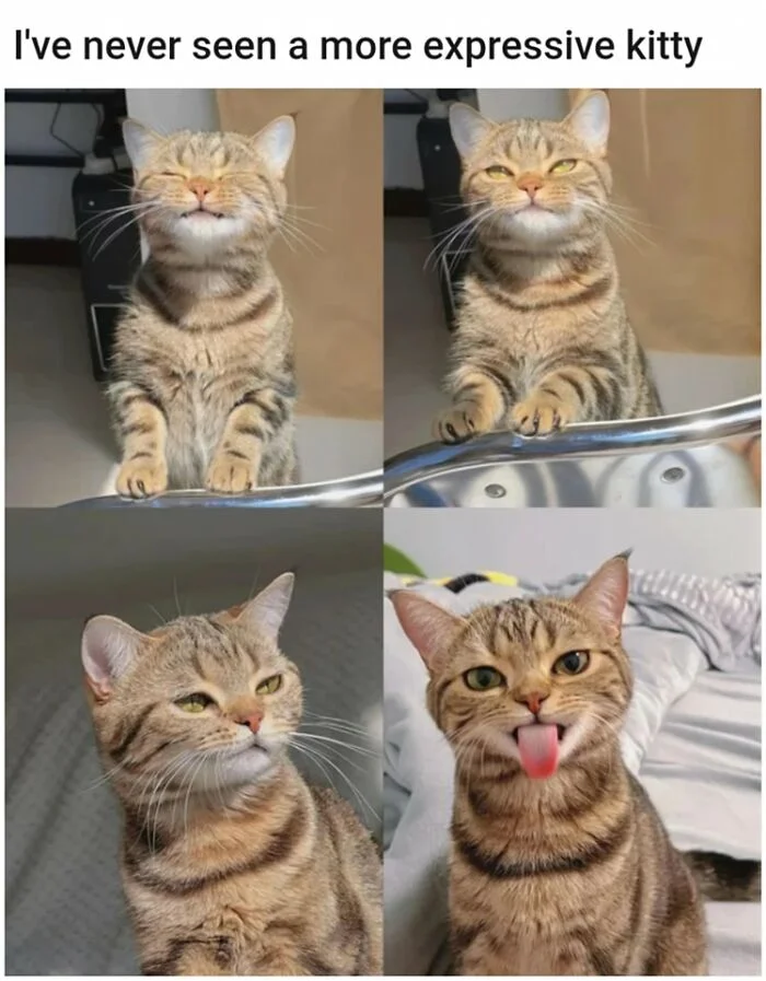 Hình tô màu bé gái cùng kỳ lân