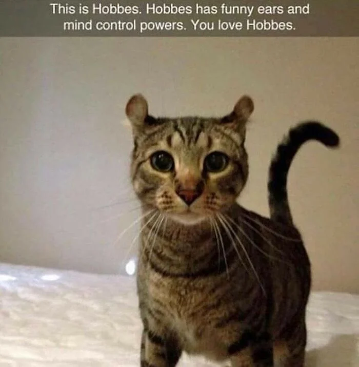 Hình tô màu bé gái cùng cún con