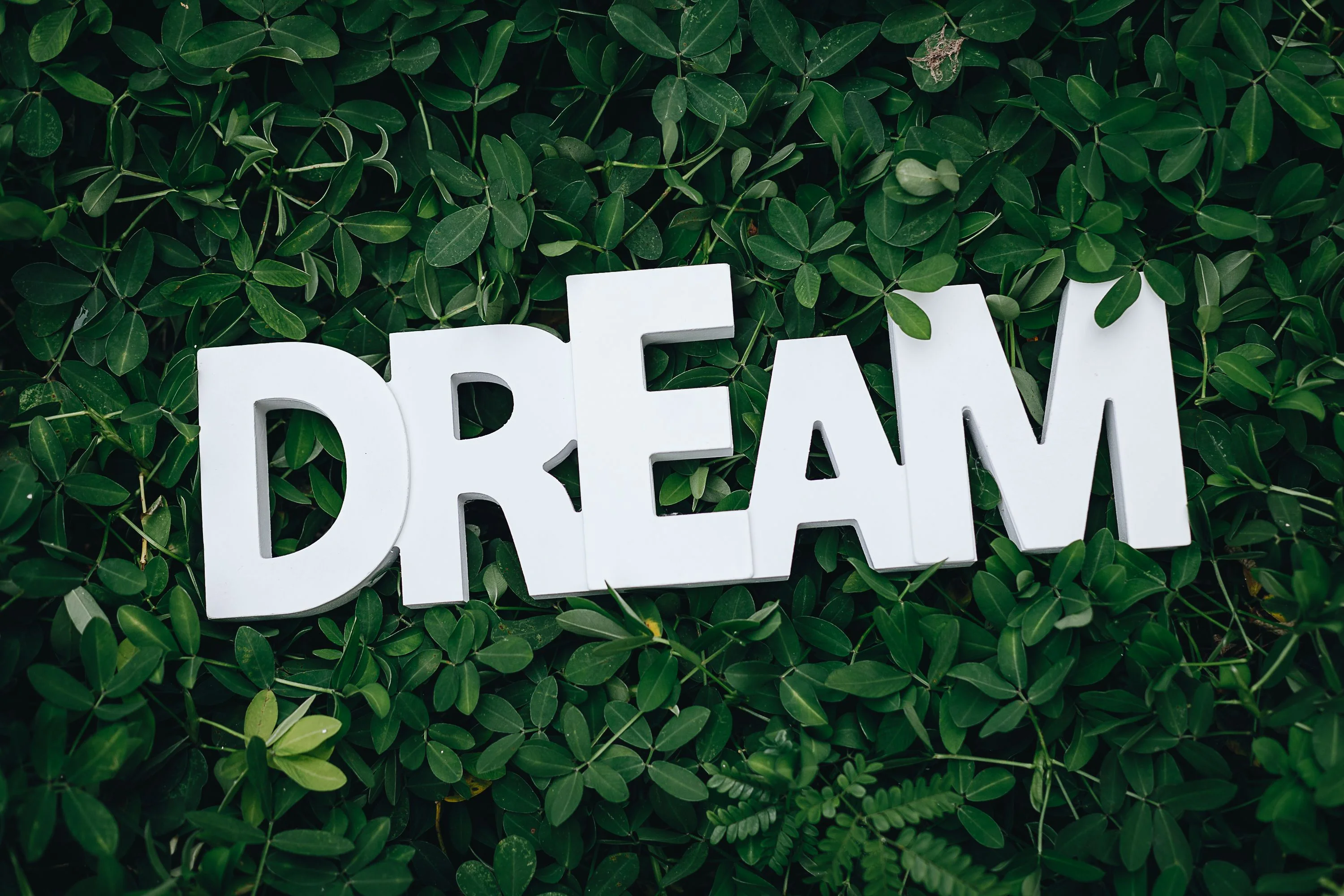 Hình nền facebook chữ DREAM màu trắng trên nền lá xanh tươi mát