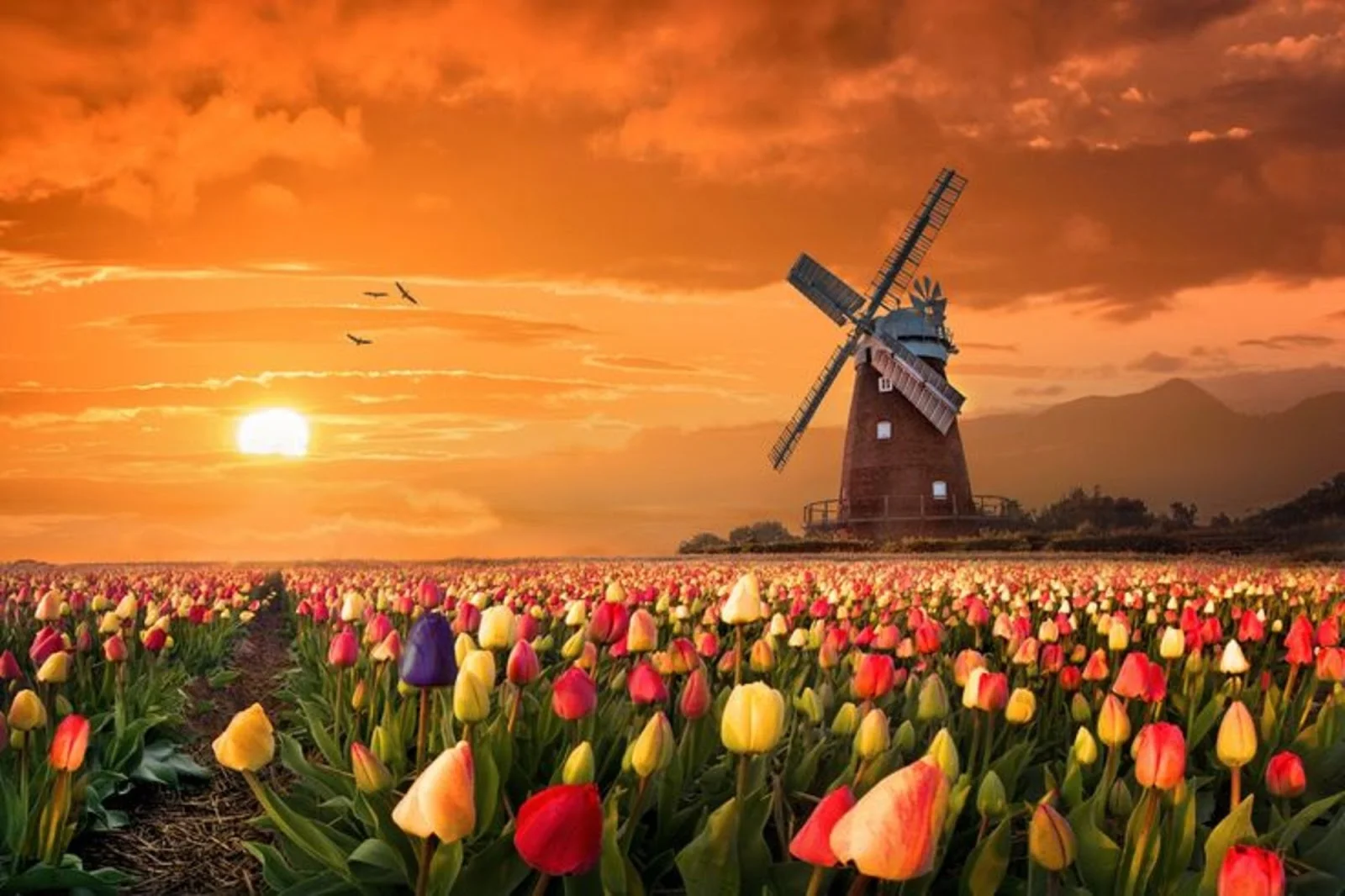 Bộ sưu tập hình nền máy tính đẹp - p2 - wallpaper backgrounds