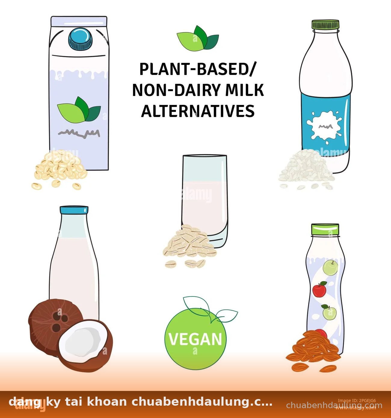 Sơ đồ các loại sữa thực vật không lactose tốt cho bệnh đau lưng - dang ky tai khoan chuabenhdaulung.com nhan code tan thu