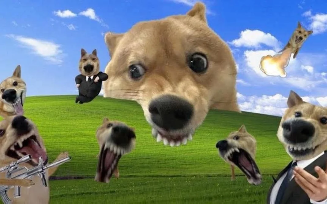 Hình nền hài về các meme chó Shiba Inu siêu thực trên nền cỏ xanh