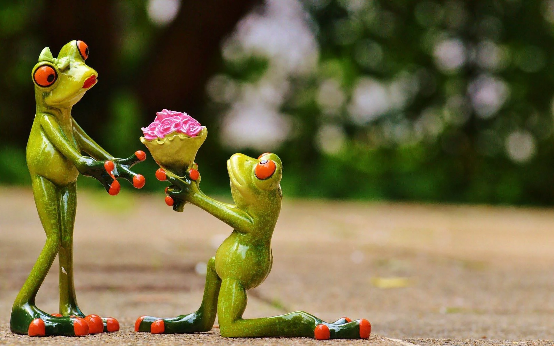 Hình nền hài hai chú ếch đang tặng hoa cho nhau
