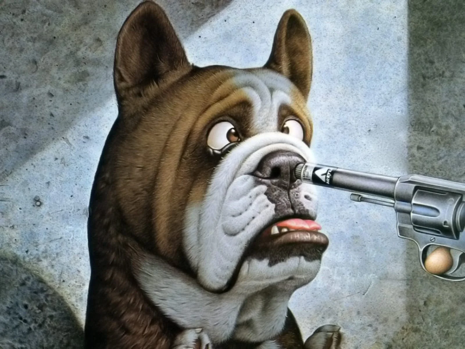 Hình nền hài chú chó bulldog với biểu cảm khó đỡ