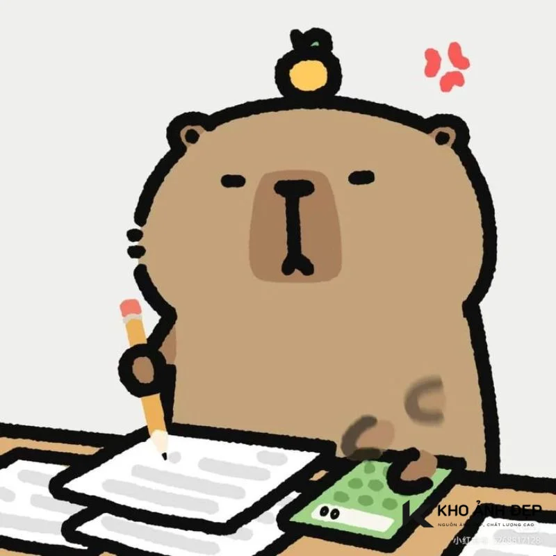 Nhân vật gấu nước (capybara) cầm bút tập trung ghi chép trên bảng trắng, bên cạnh có hộp đựng đồ dùng